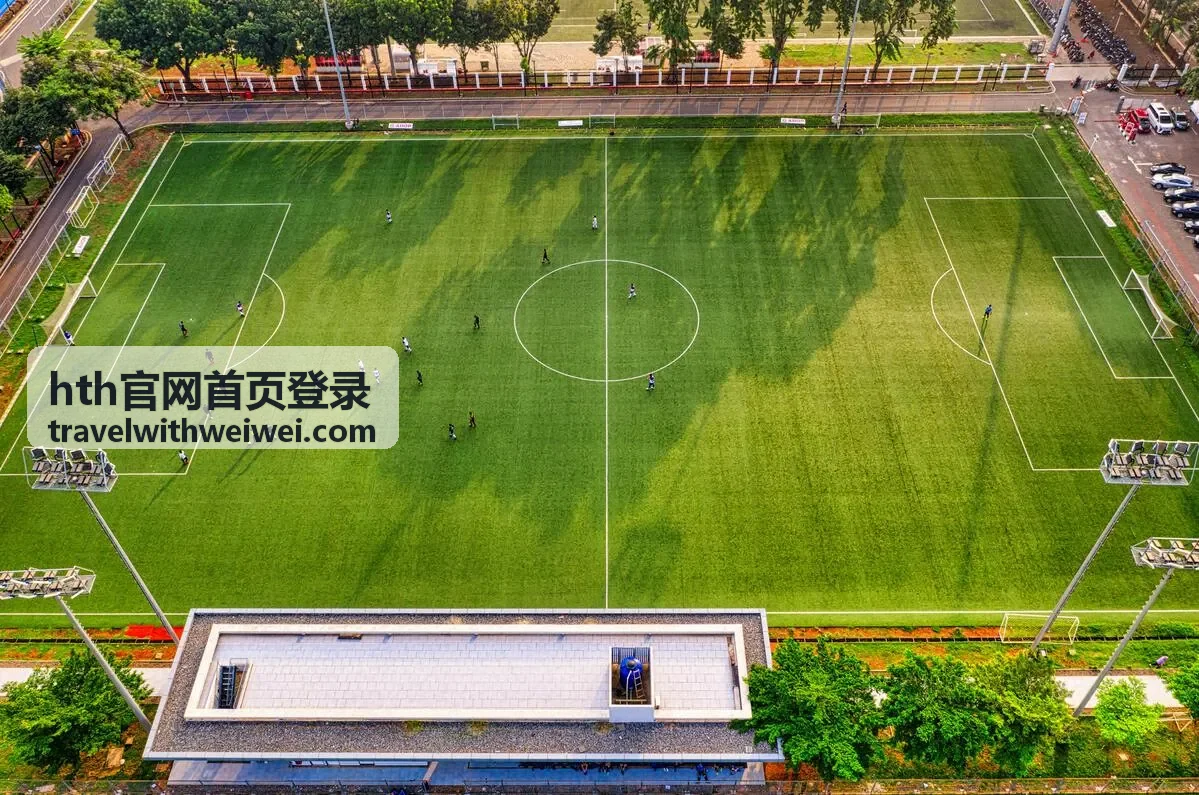 HTH官网首页登录时账号与密码的填写规范示意